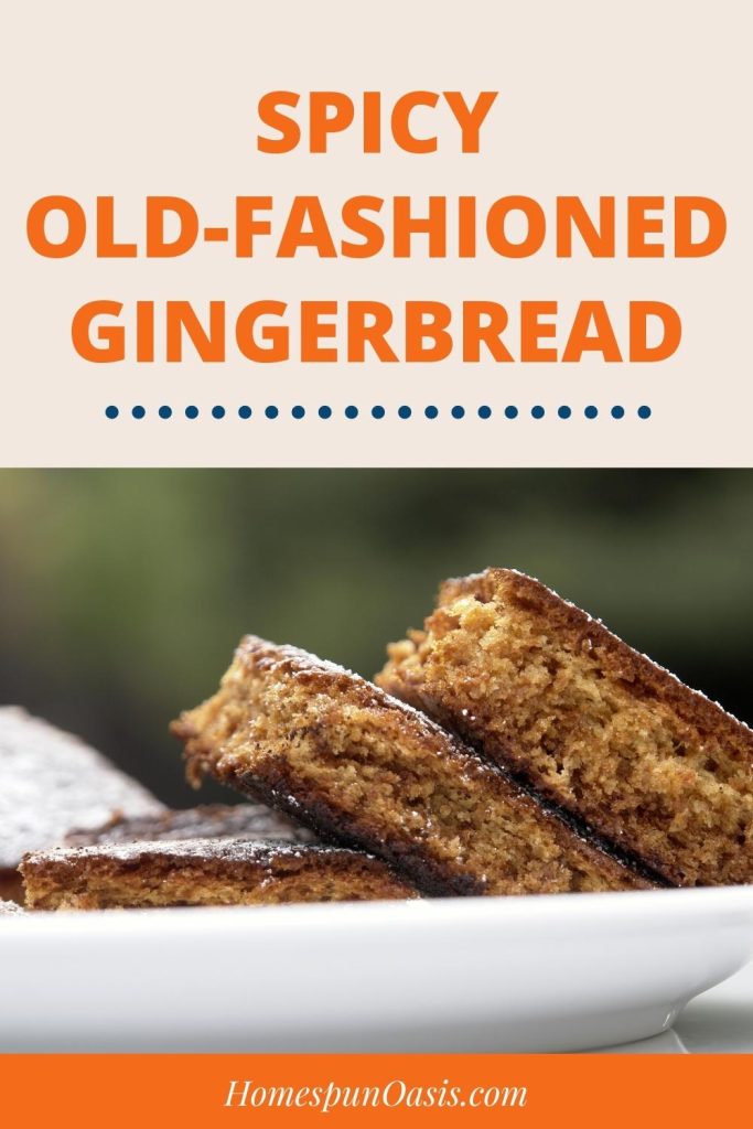 Spicy Old-Fashioned Gingerbread