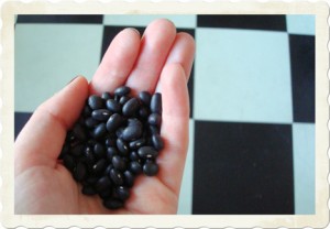 black beans 8202012
