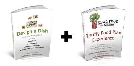 Mini Bundle– Design a Dish + Thrifty Food Plan Experience
