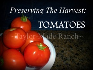 Preserving-Tomatoes-Taylor-Made-Ranch