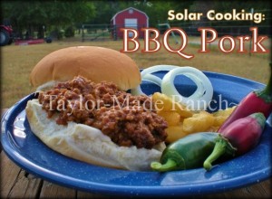 BBQ-Pork-Sandwich-Taylor-Made-Ranch