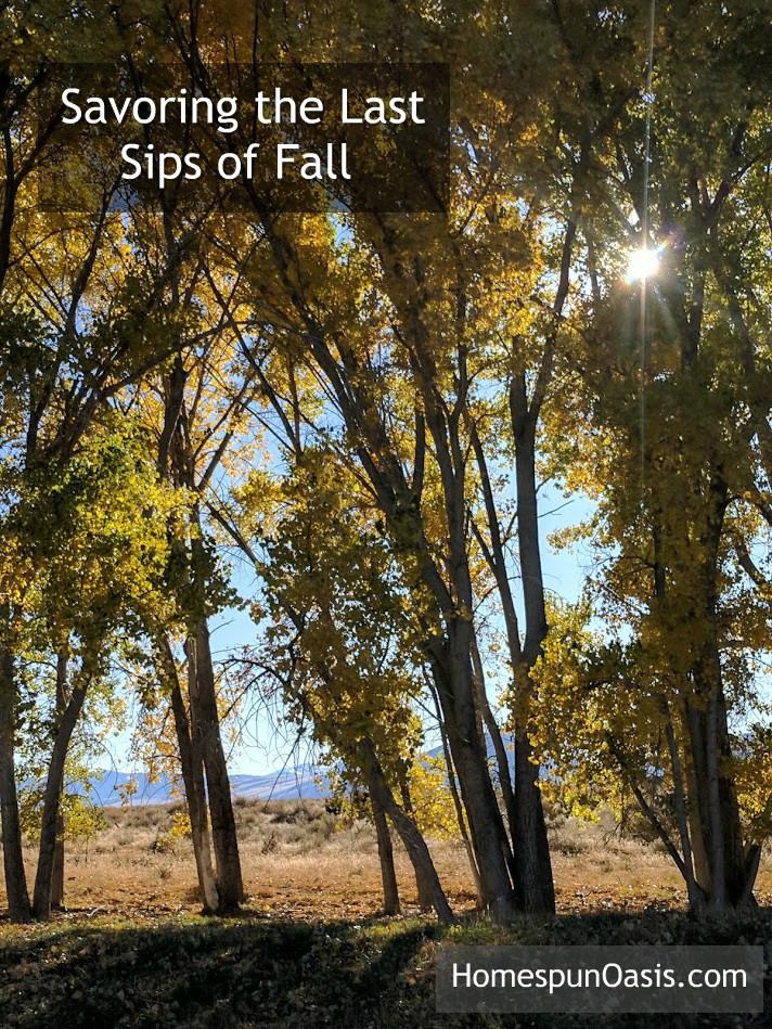 Savoring the Last Sips of Fall | HomespunOasis.com