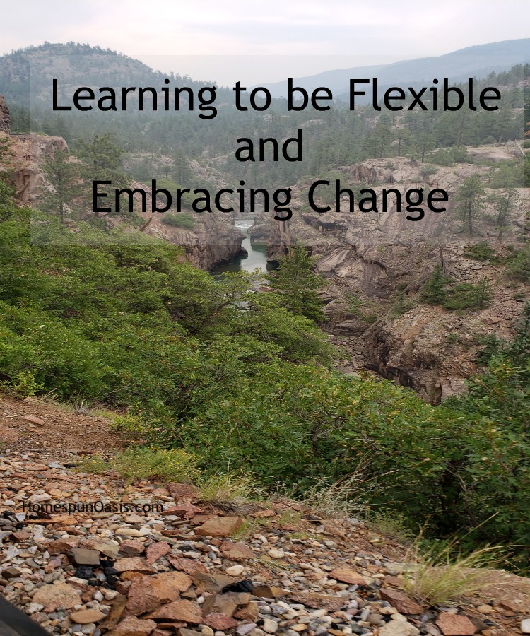 Learning to be Flexible and Embracing Change