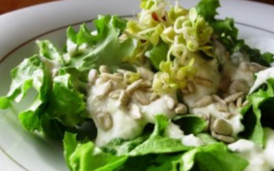 August Meal Plan Ideas: Dress it Up!