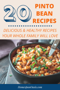 20 Pinto Bean Recipes You Must Try