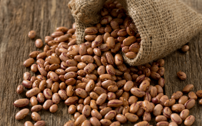 20 Pinto Bean Recipes You Have To Try