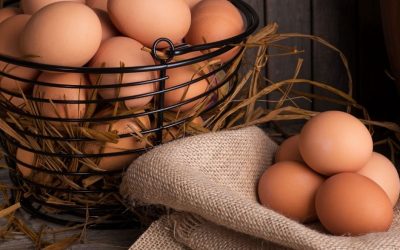 20 Egg Dishes Your Whole Family Will Love