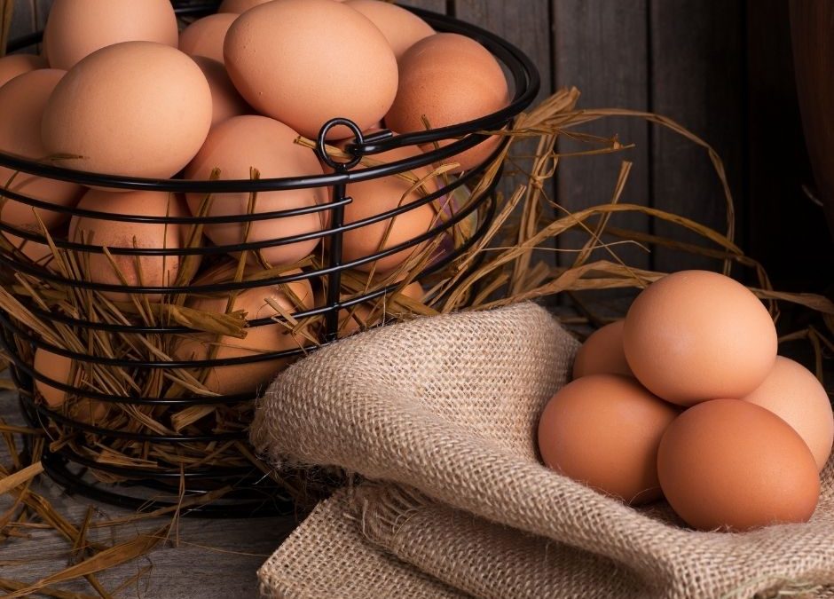 20 Egg Dishes Your Whole Family Will Love