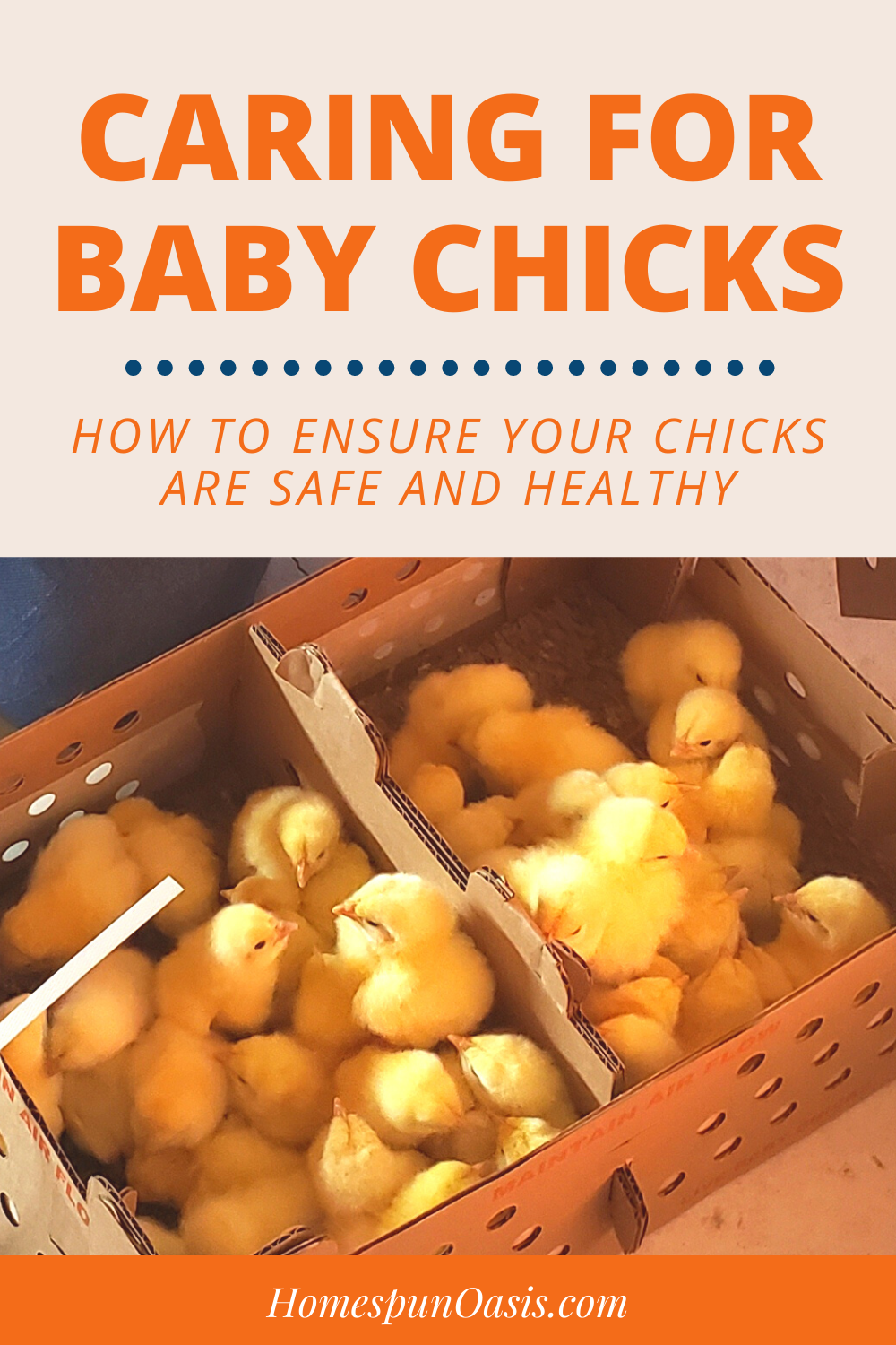 Caring for Baby Chicks