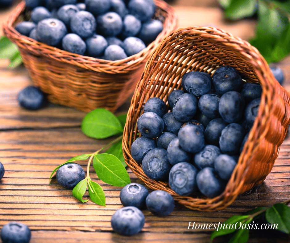 June Produce: Blueberries
