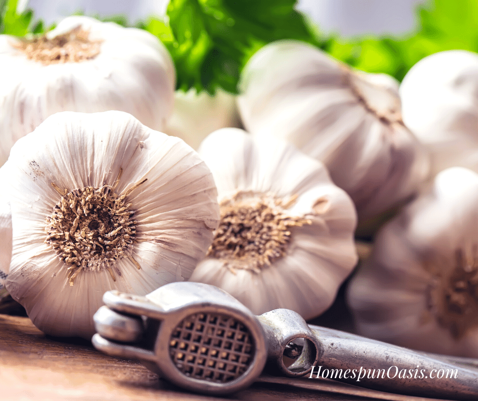 Preserving Your July Harvest - Garlic