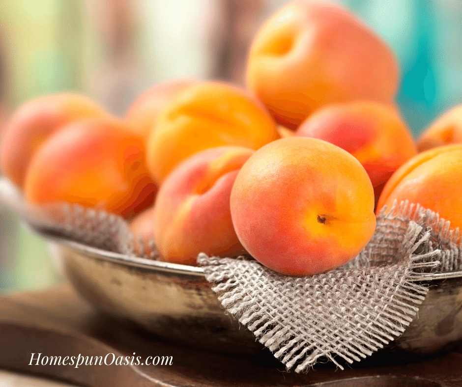 June Produce: Apricots