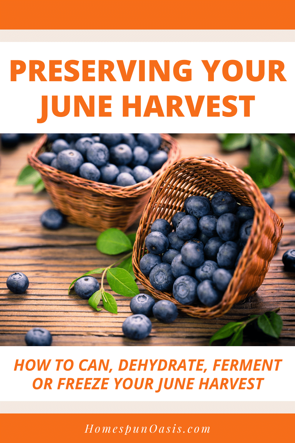 Preserving Your June Harvest