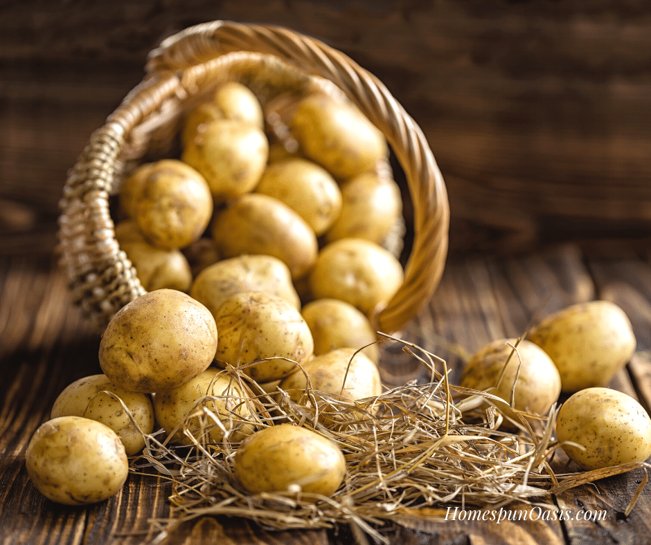 Preserving Your October Harvest - Potatoes
