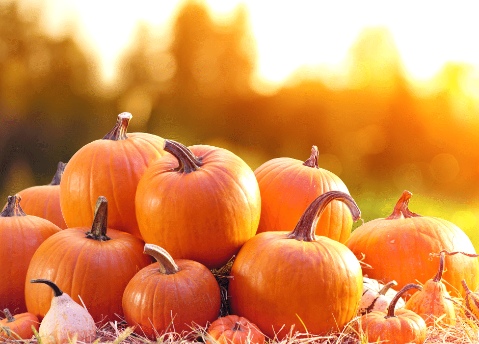 Preserving Your October Harvest