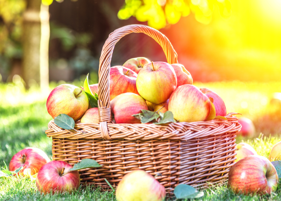 30 Healthy Apple Recipes