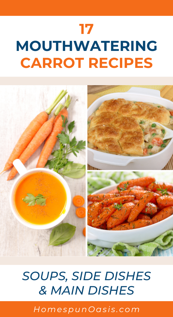 17 Mouthwatering Carrot Recipes